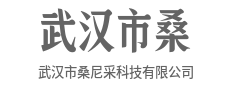 科技懂你的言外之意，也懂你的欲言又止-武汉市桑尼采科技有限公司